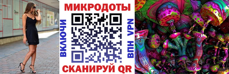 что такое наркотик  Суворов  Псилоцибиновые грибы MAGIC MUSHROOMS 